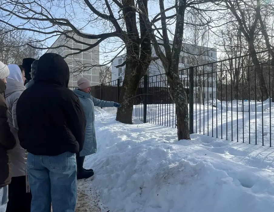 Видовое разнообразие и состояние лишайников.